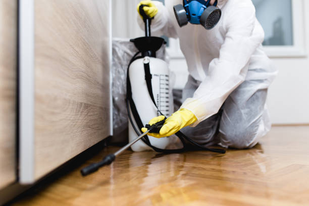 Best Flea Control Services  in Columbia City, IN