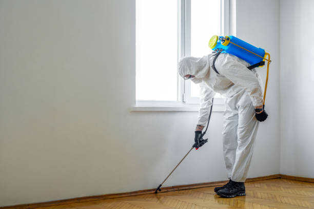 Best Emergency Pest Control  in Columbia City, IN