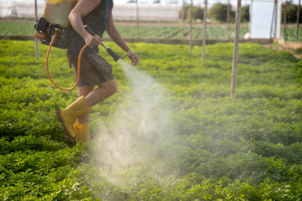 Best Pest Prevention Services  in Columbia City, IN