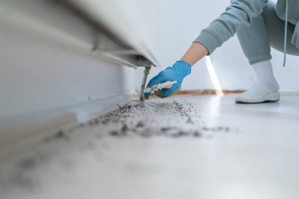 Trusted Columbia City, IN Pest Control Experts